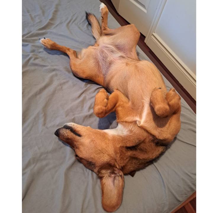 Ebf08a9c b113 4bb1 adac 44063ce6fae7 1759785192274