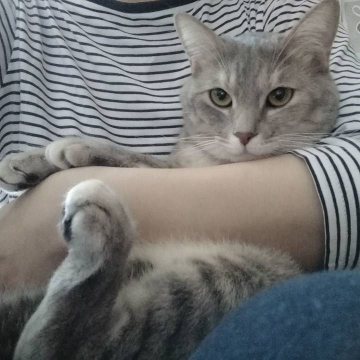 Ebf0ed98 5814 4efe ba9e 7b9b55464d5a 1538962530861