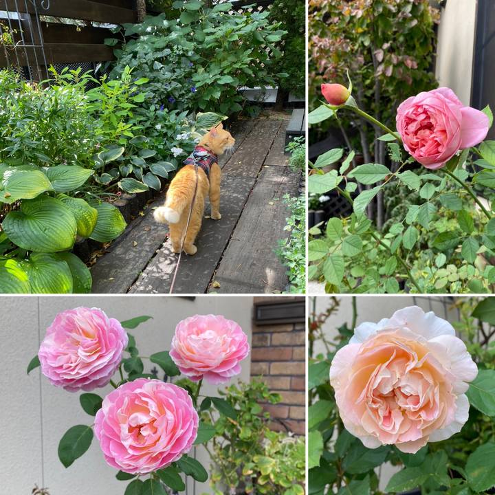 Ebf0eea7 d321 4055 a686 759521aba0a9 1633752039013