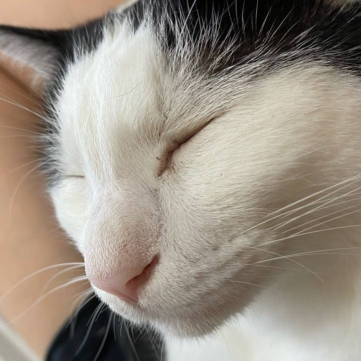 Ebf14367 c649 45c3 acc8 ab858e53755a 1627556162334