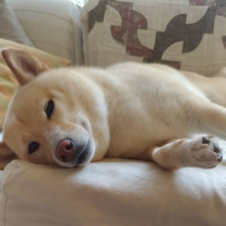 Ebf144bf 4e5a 4610 b3db 8a03c4545ad7 1626931579118