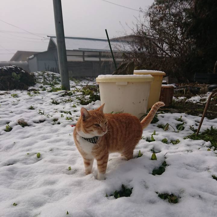 Ebf14910 899e 42ea 93e2 d5ff2644dea2 1575166286454