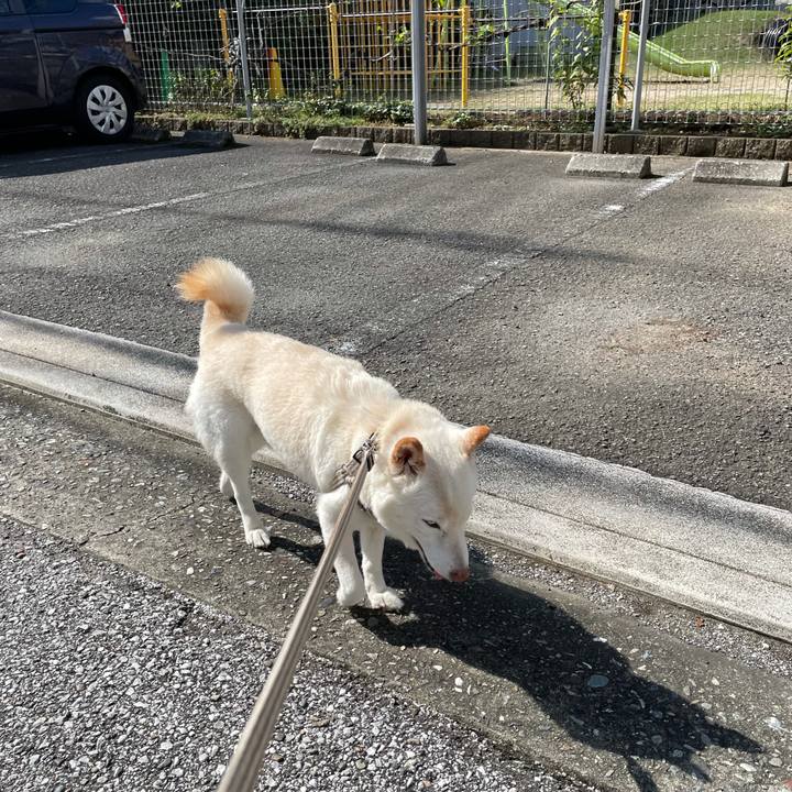 Ebf14c2c 1771 4085 aef0 a111dc4d8756 1634181240320