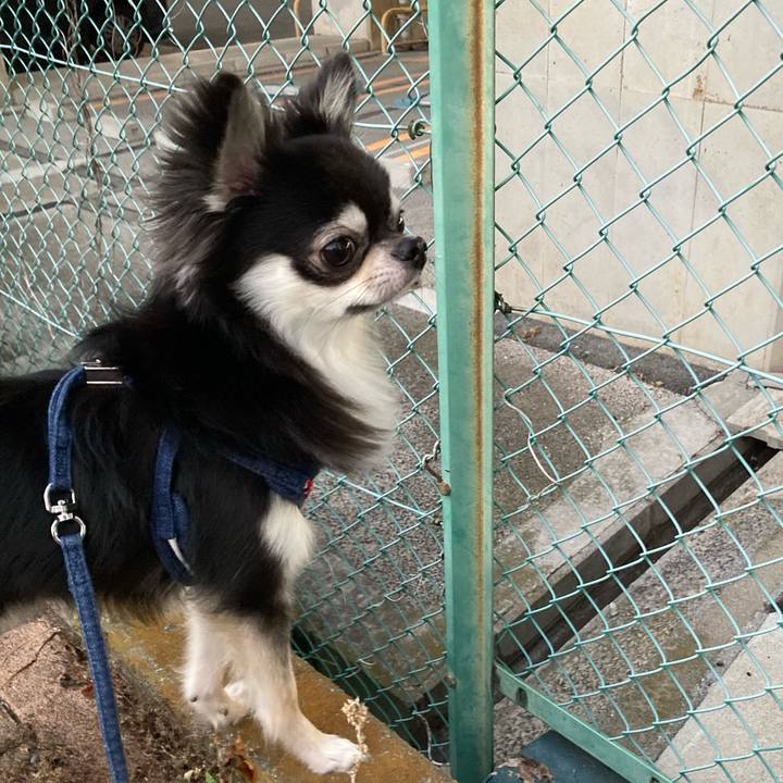 Ebf186dd 2ef3 406c 8d16 ad051f746be4 1630152421847