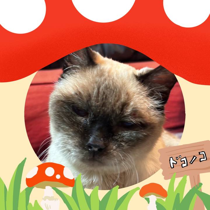 Ebf18b59 79d6 4c64 869a 9ca1004ed0e9 1729129927976