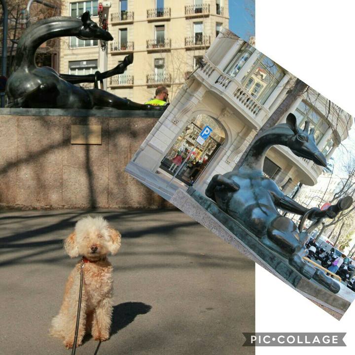 Ebf195be a8a9 49bd a527 d3eb5ddcd7d7 1582495233178