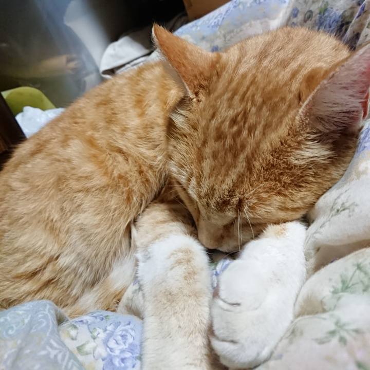 Ebf1b30c 0889 4a48 8130 a0e742d62c67 1589461654345