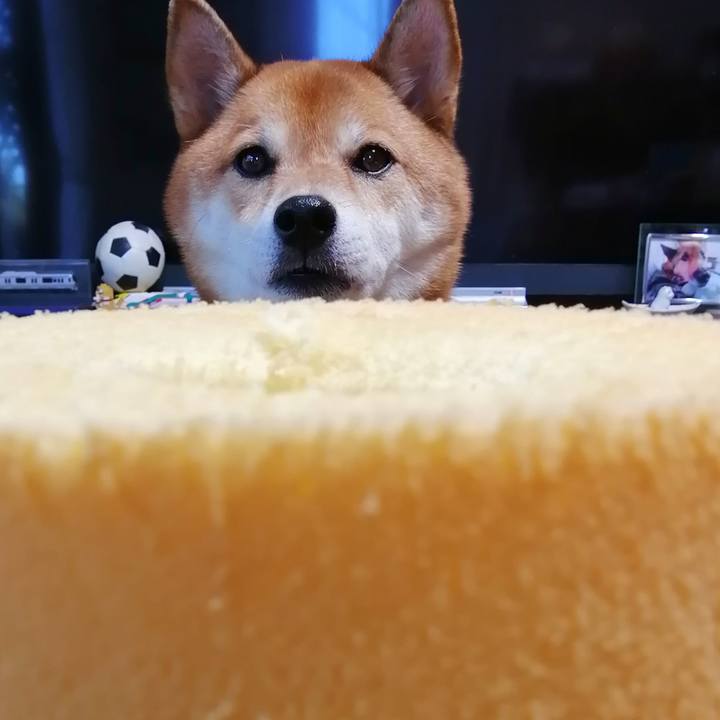 Ebf1c20c fa8c 4f97 a208 80175adfe743 1630311032324