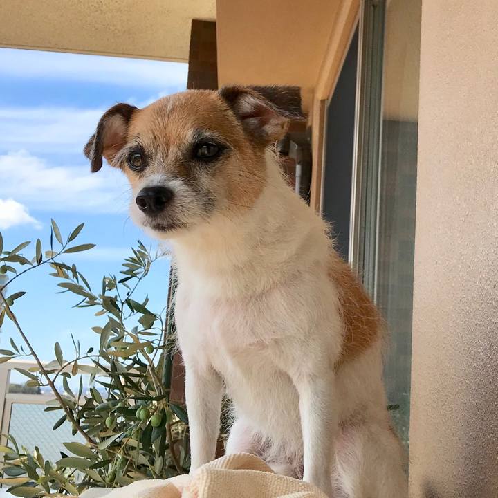 Ebf1e259 fe81 4022 afef 91d73788b0a2 1568862611363