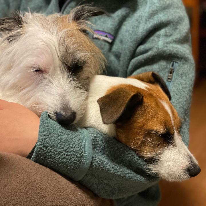 Ebf26172 8b7f 4812 be10 890a3bd25eea 1666697062589