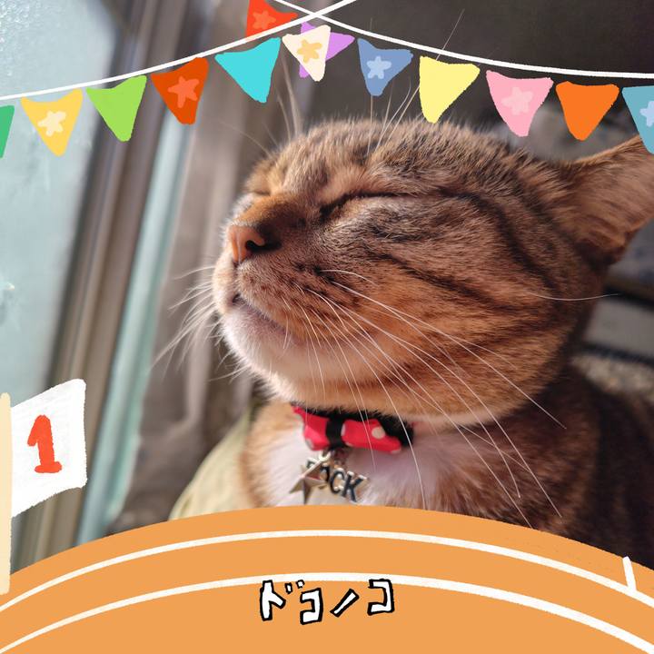 Ebf26cbe d074 437f b522 4dde2d8e09ac 1762131072548