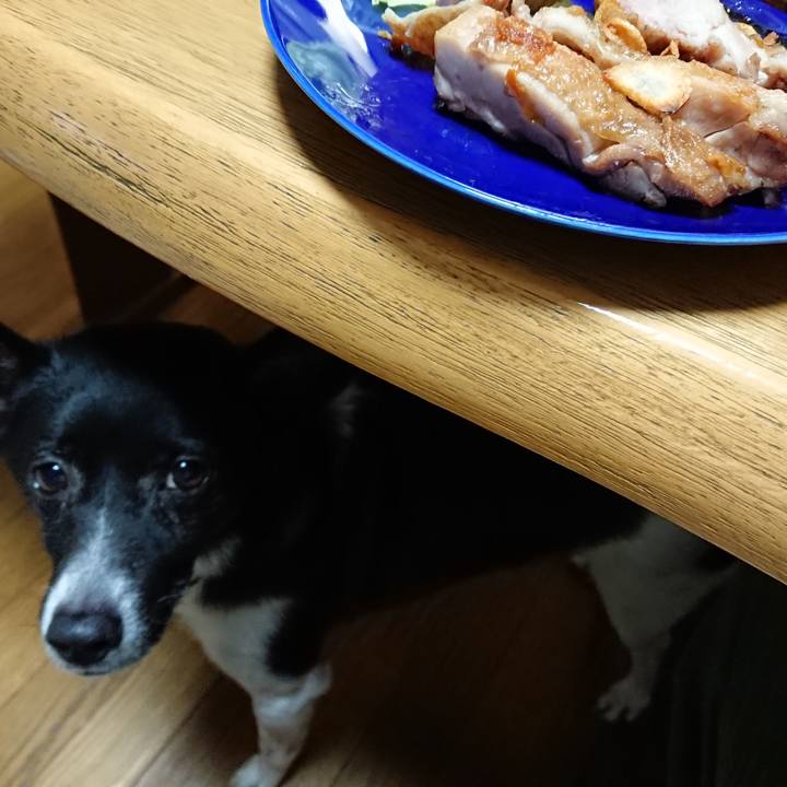 Ebf26d85 77bd 48fc ad92 634c0c8c772b 1529843785541