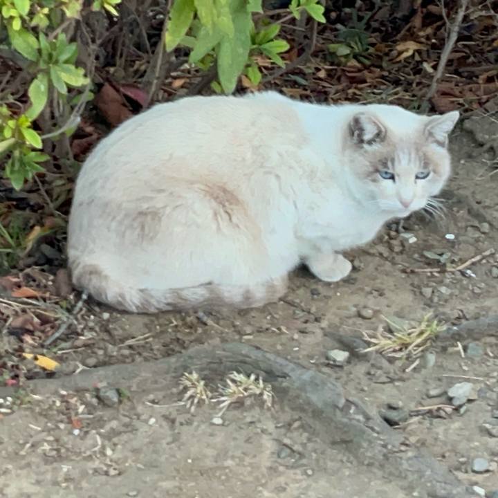 Ebf279e7 c57f 4001 b5c7 f111db9cbd6e 1741040412701