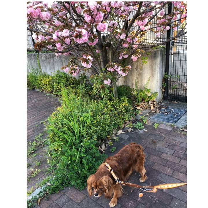 Ebf29032 5dba 42e2 bd55 0ba341478e47 1618140194990