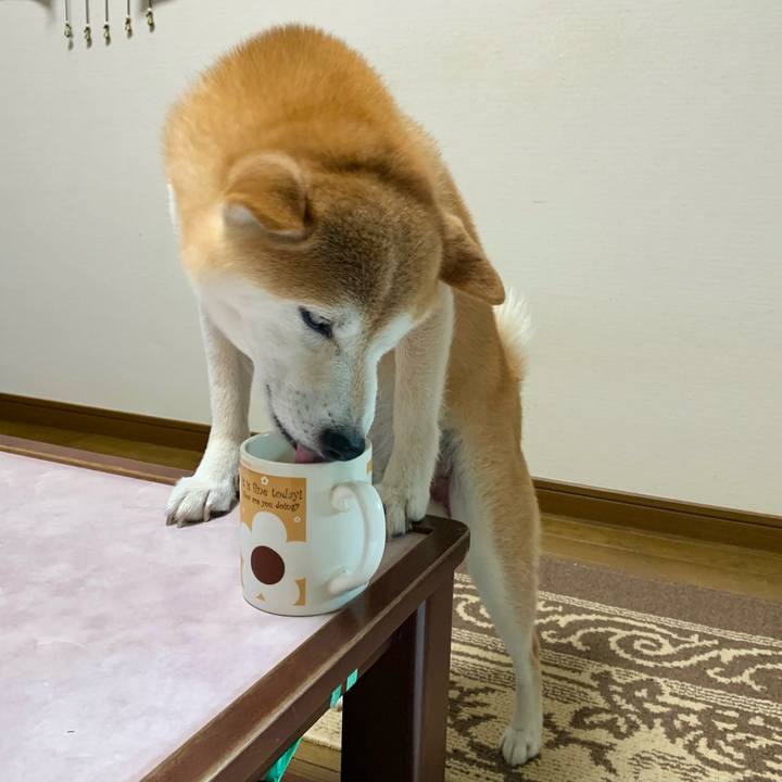 Ebf2ad01 6533 4f18 95c6 39f5e2c3c023 1690618208612