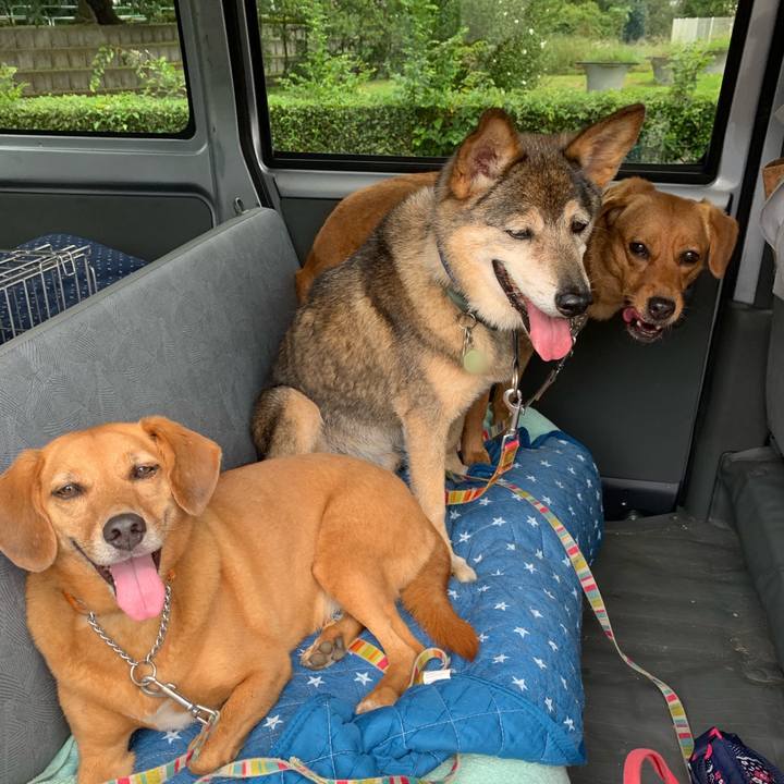 Ebf2c5f1 6f79 42a7 824a 57ae89b7cda6 1566966382580