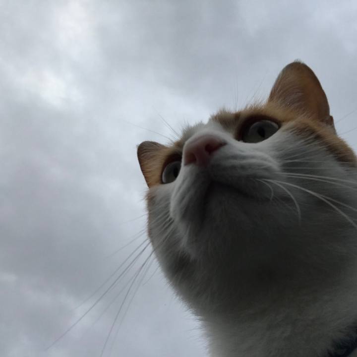 Ebf2db93 7067 4ae7 8437 4edc8695898d 1508536688639