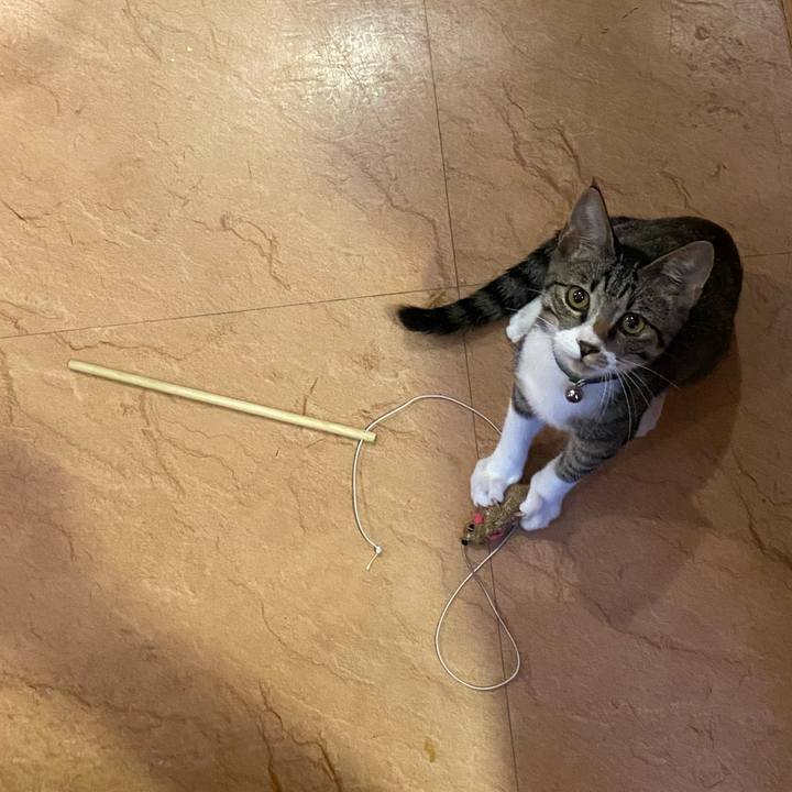 Ebf348f3 6718 423d 8bfc e6deb9f3763b 1631006916977