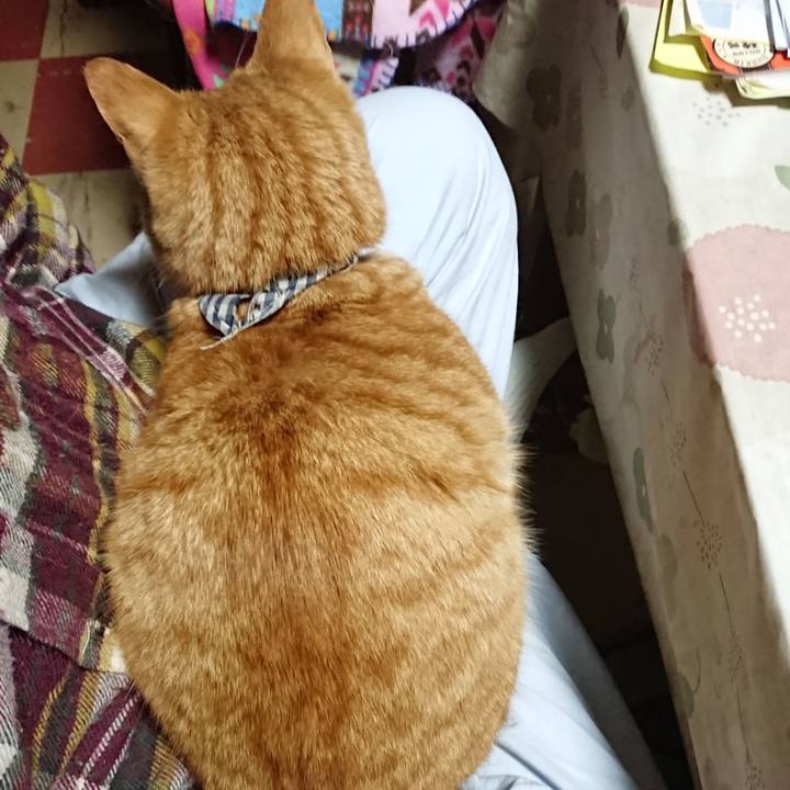 Ebf3a5c1 4764 4d48 a33a 13ea879cd7bc 1574196352218