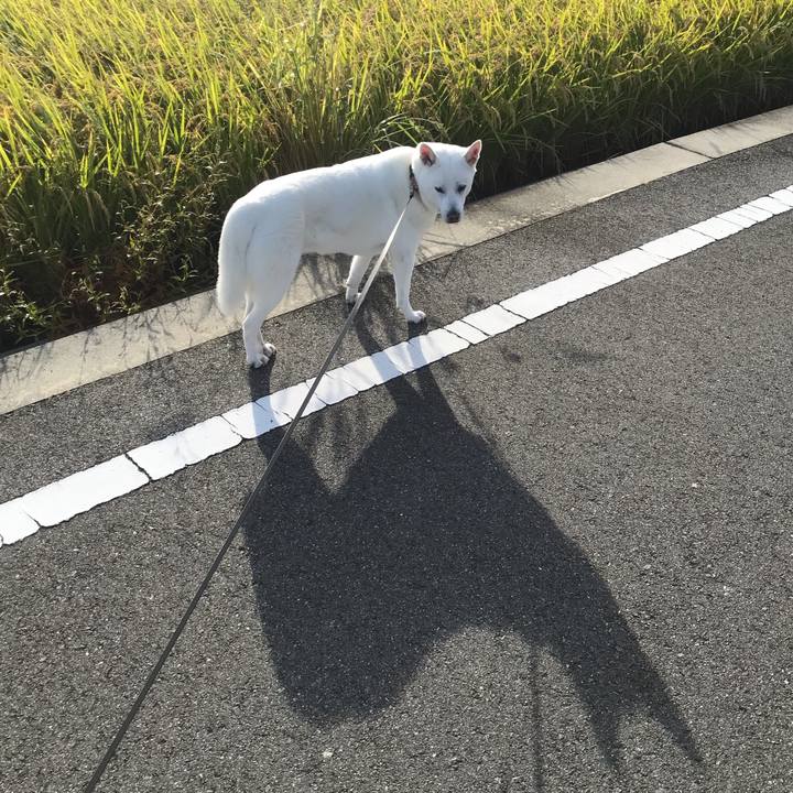 Ebf3b164 90ee 43a0 aea9 53ba77c9d986 1539477115283