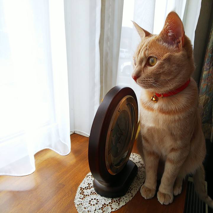 Ebf3c30c 9af2 4734 b7fa 4db76e6aafa4 1553994600577