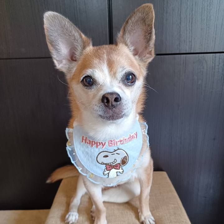 Ebf3c5d2 cd48 4203 a56f 9085763623ca 1758414974873