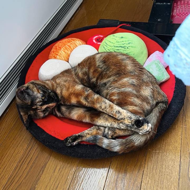 Ebf41d80 093c 4b3a a0c3 a8dc6cbd8505 1703456850472