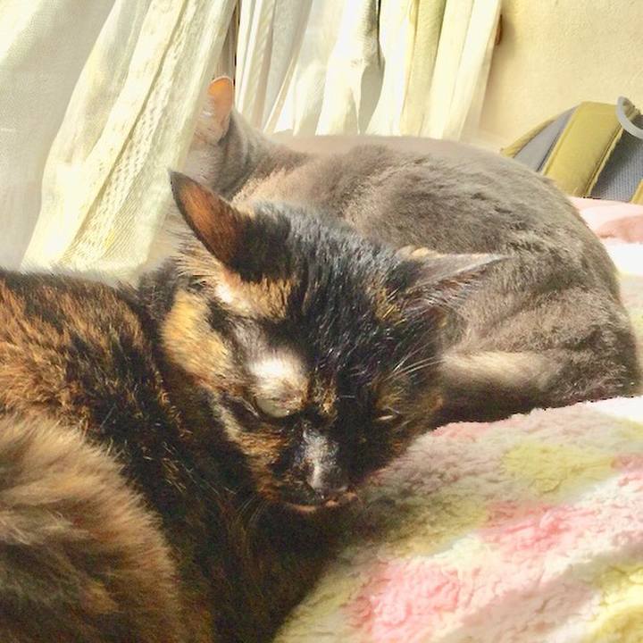 Ebf422fd c931 4f8b a7dc 1776b4b7fb0f 1612064277426