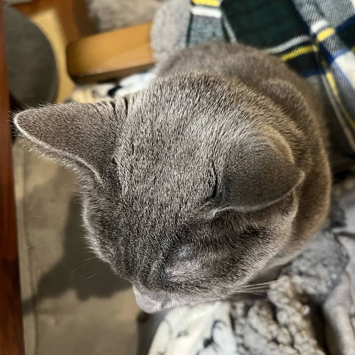 Ebf450ca d848 4ba6 8385 e6f2403af3d3 1732181928207