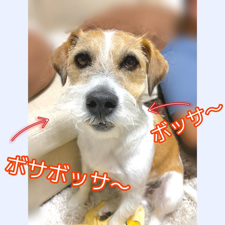 Ebf452fc 4062 48d8 84db cf71b88a3e74 1627703683972