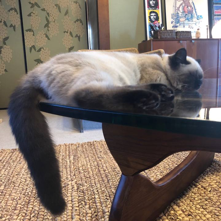 Ebf461ff 019e 4d06 a738 7bb8552a7baa 1593052860041