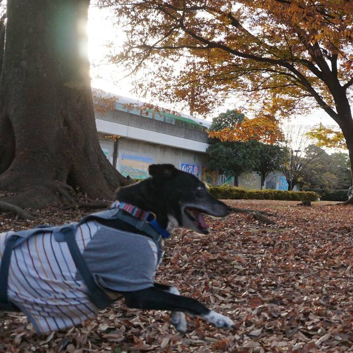 Ebf47410 e66e 4315 bb6d 302af9c0a6d1 1764376394630