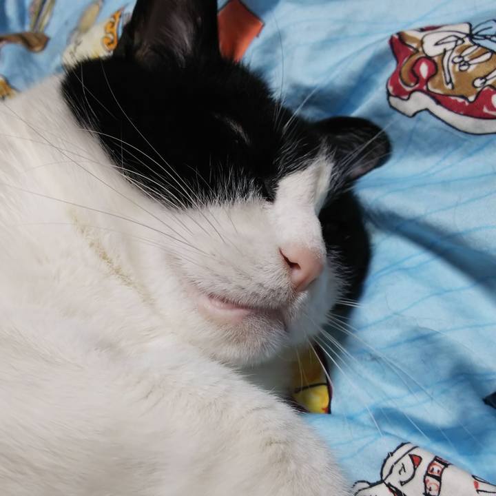 Ebf477d4 77c6 4b06 879f 2b490bab3cf6 1586343337879