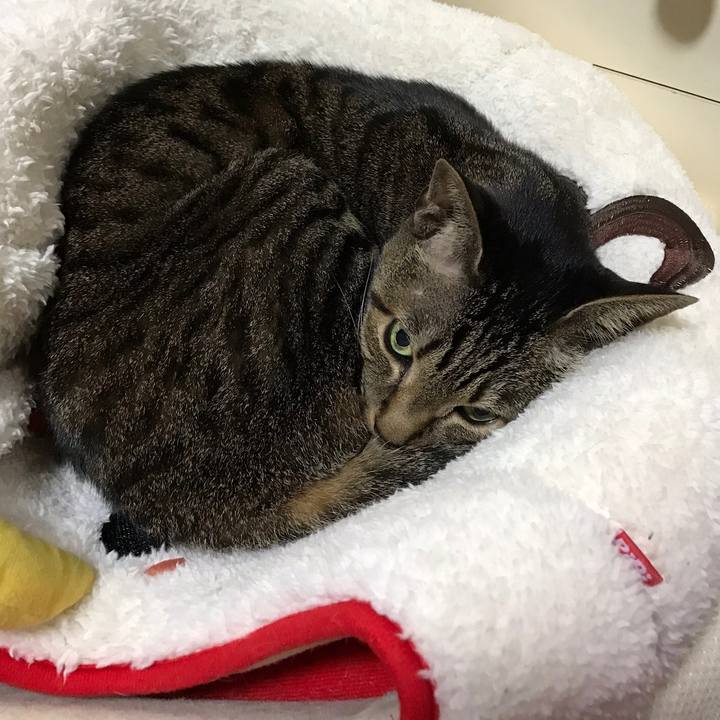 Ebf49001 7d3a 4220 9eb5 d7dff8a8e751 1519693439129