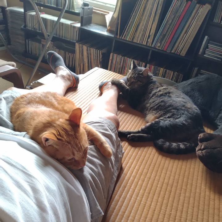 Ebf49f43 7829 4383 9c41 a8477ddbc052 1693963650615