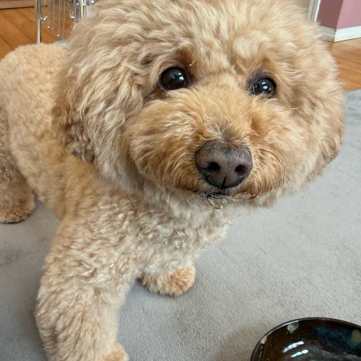 Ebf4c371 a518 46dd 9b58 89700d7380b0 1768260642632