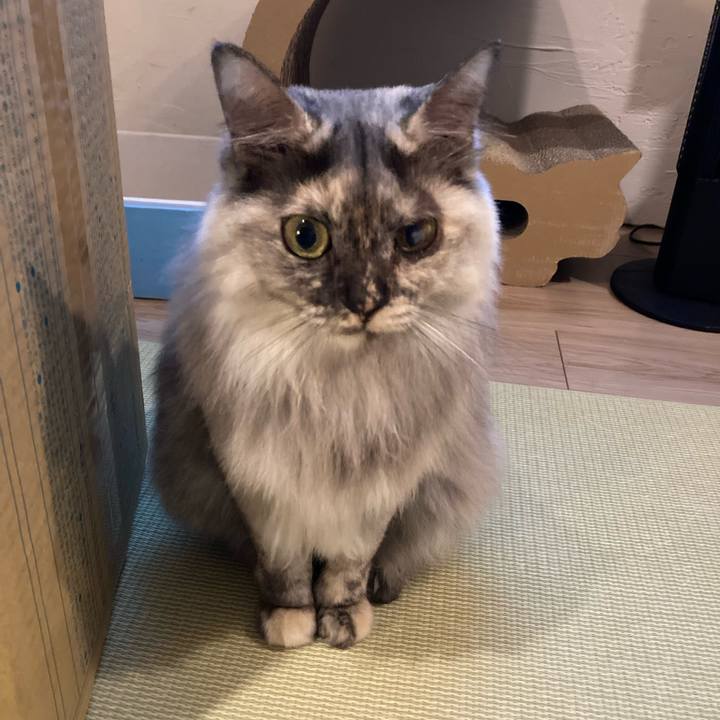 Ebf4c796 1b8b 4e5b a060 893caefa1e25 1761305240584