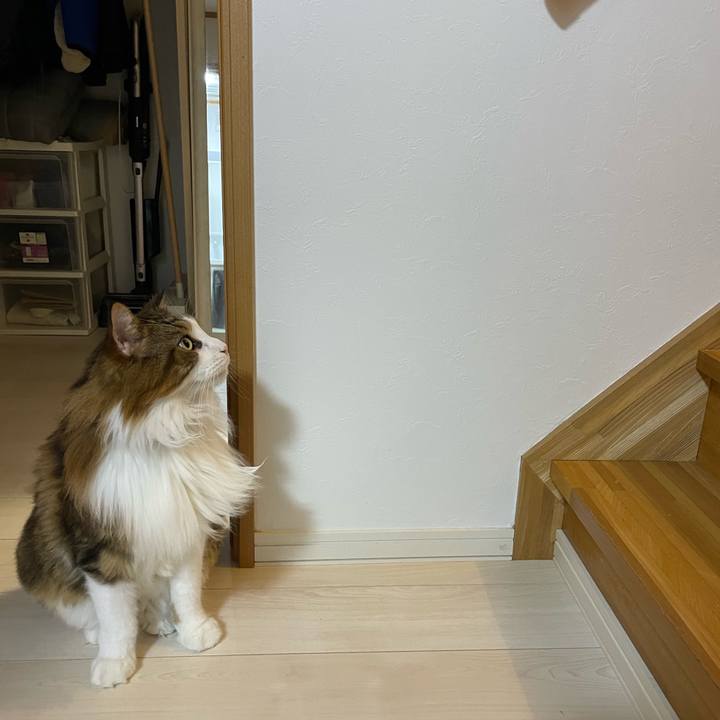 Ebf4ff7a 7883 42fc b7da 011672f3edd9 1727987642349