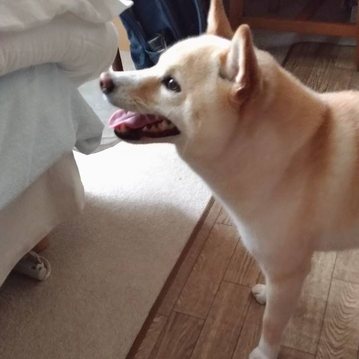 Ebf50b77 737f 473e 89e0 4705fa01556b 1593208891485