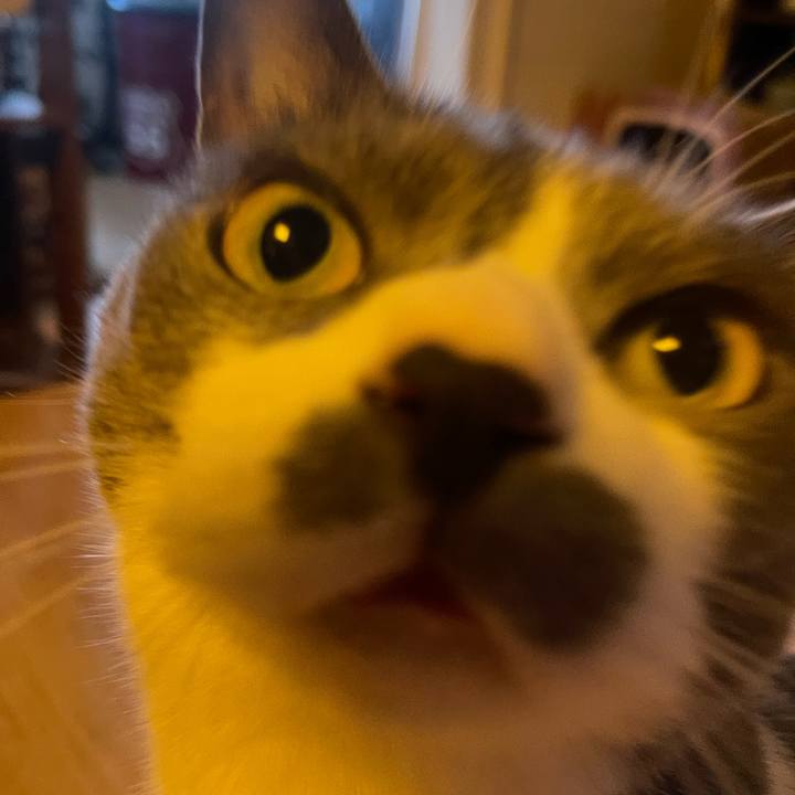 Ebf51519 390e 4945 8d13 b5a3cd1397e5 1757979533898