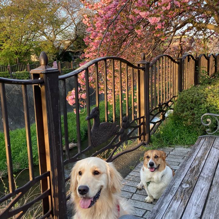 Ebf52987 6047 4b9c 9855 3214bd28bc83 1744678944438