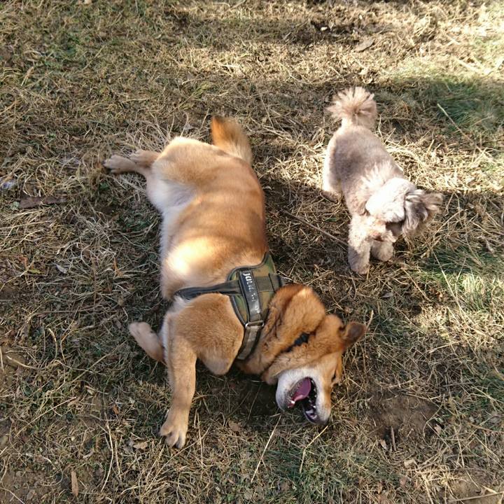 Ebf53c3a 157b 440f b3e8 19f2c157924c 1515300232610