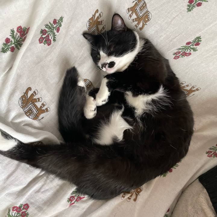 Ebf58d7e e37f 442d 9b50 ac443dbf047c 1674866664347