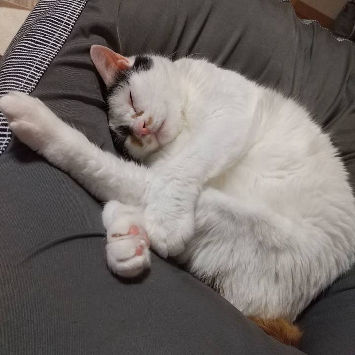 Ebf5d967 c143 453d bc7e 84cc57675151 1621162656554