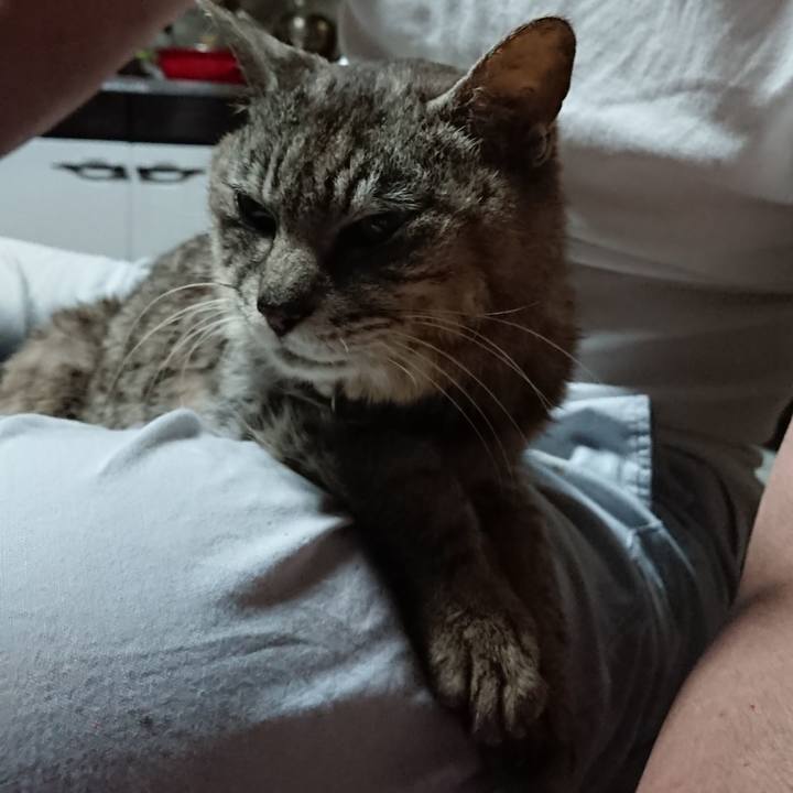 Ebf5ff38 2a9d 4f2f 869e 271cc07046d9 1593891823930