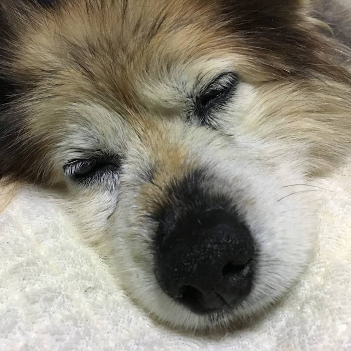 Ebf61b59 a7b6 43d6 ac6f 03b447901098 1613008155395