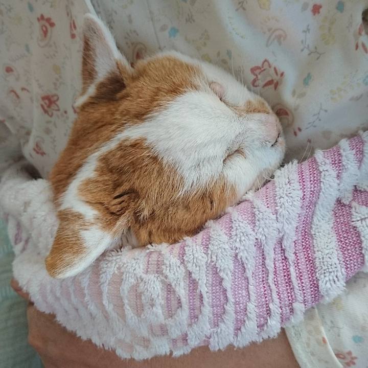 Ebf622be b866 467c b126 ff78ba48f60c 1623882525715