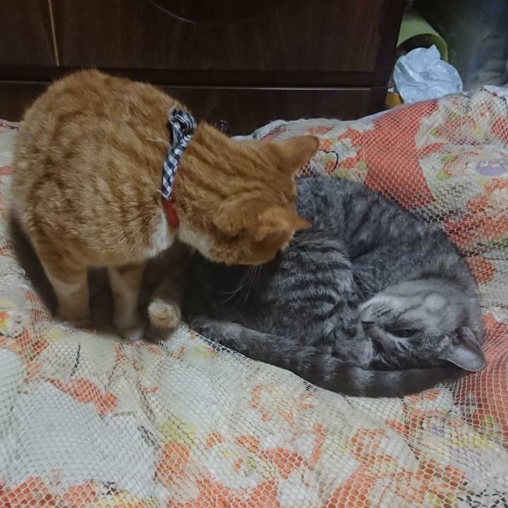 Ebf622d1 b148 4965 91f7 d80796585687 1572265609357