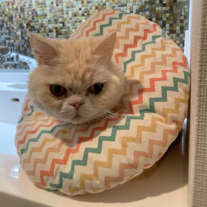 Ebf66134 8eec 4cbd 911c 2a324014b9a7 1766756719593