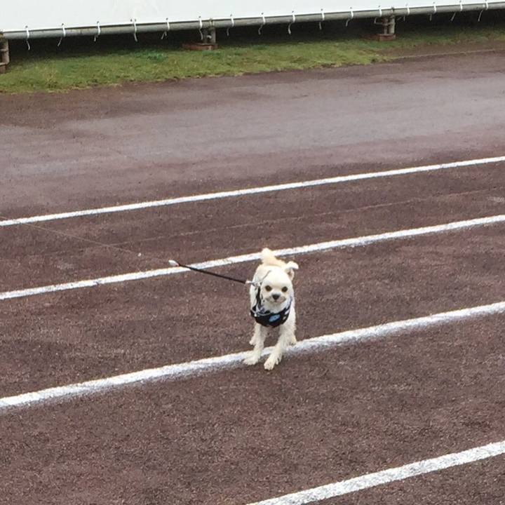 Ebf666f7 c643 4b31 ab57 f2a6508cff8a 1507986021182